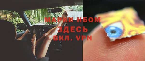гидра Аркадак