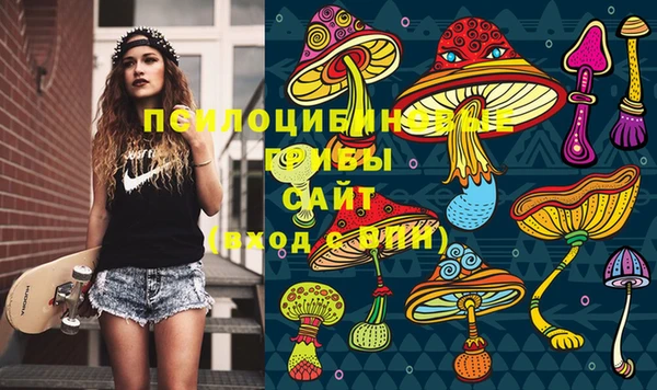 таблы Армянск