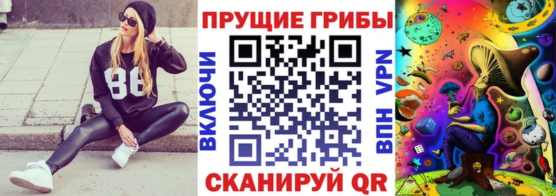blacksprut ССЫЛКА  цены наркотик  Выкса  Псилоцибиновые грибы GOLDEN TEACHER 